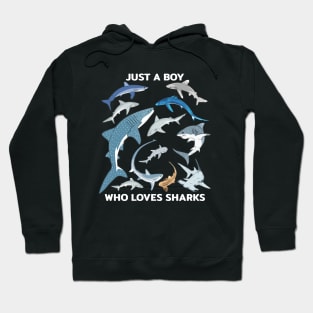 Just a boy who loves sharks Hoodie